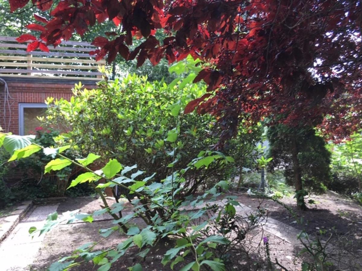 Muehlenweg- Tante Lise Apartment ซือเดอร์ลือกุม ภายนอก รูปภาพ